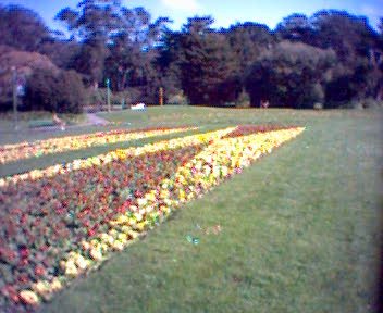 GZO-2003.12-2004.01.024