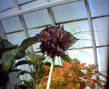 GZO-2003.12-2004.01.026