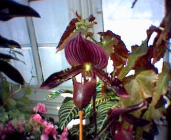 GZO-2003.12-2004.01.027