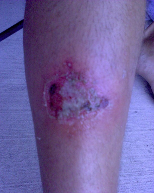 GZO-2006.08-2007.01_001