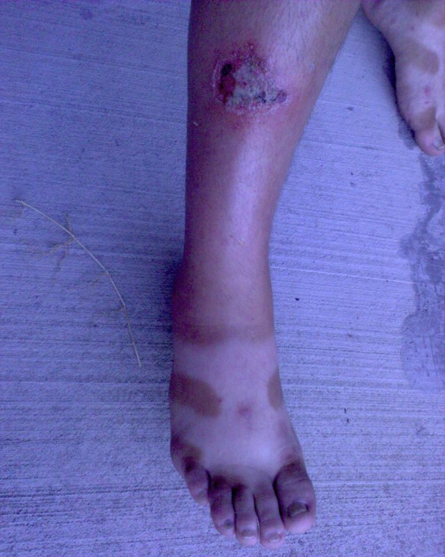 GZO-2006.08-2007.01_002