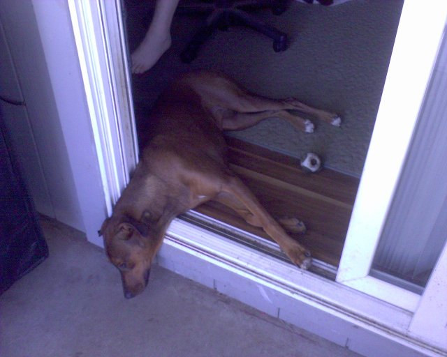 GZO-2006.08-2007.01_036