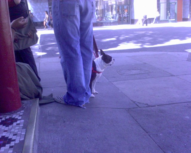 GZO-2006.08-2007.01_046