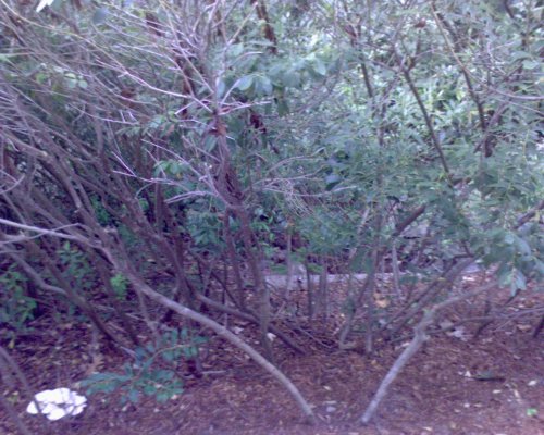 GZO-2006.08-2007.01_084