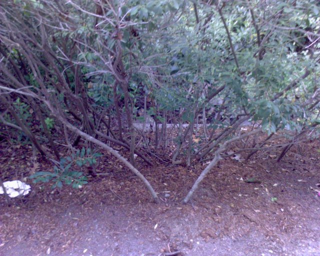 GZO-2006.08-2007.01_086