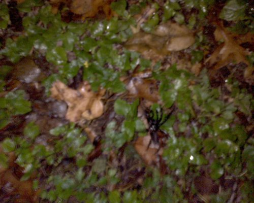 GZO-2006.08-2007.01_204