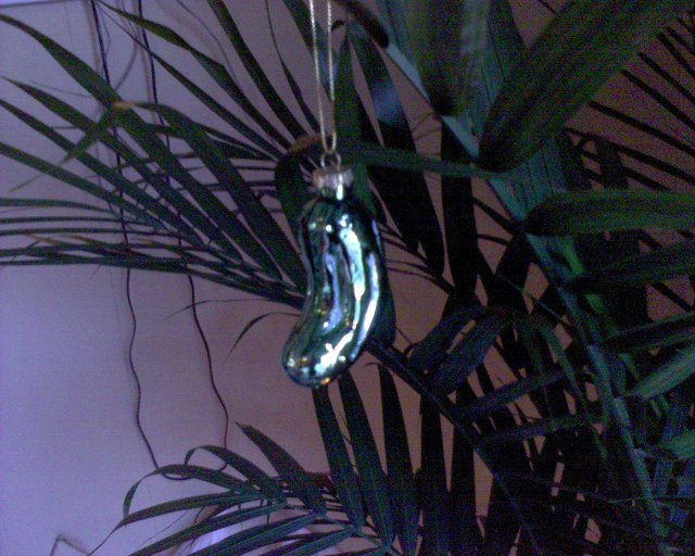 GZO-2006.08-2007.01_218