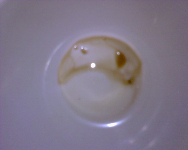 GZO-2006.08-2007.01_230