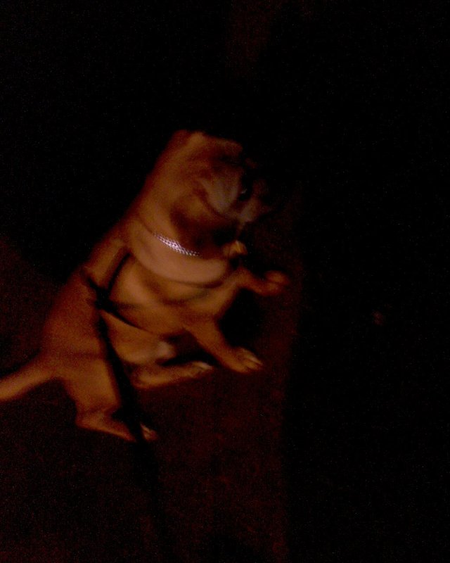 GZO-2006.08-2007.01_240