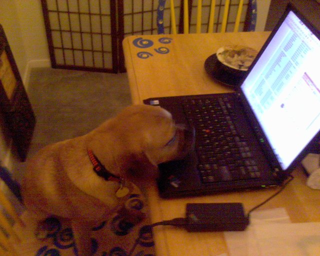 GZO-2006.08-2007.01_248