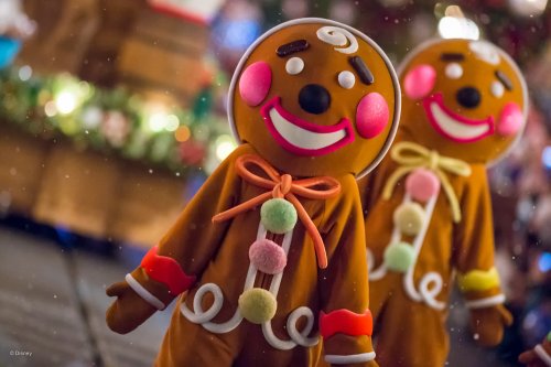 wd044wdw2015314339172233