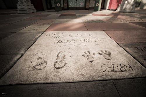 wd092wdw2015090212151248