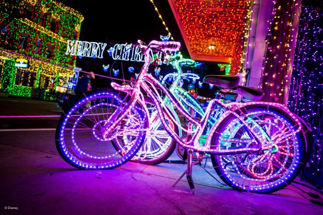 Walt Disney World Photo Gallery Disc