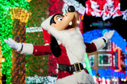 wd105wdw2015313338539866_19